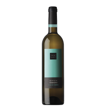 BORGES QUINTA DE SIMAENS 2024