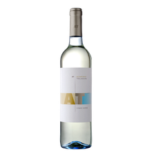AT - ALVARINHO TRAJADURA 2024