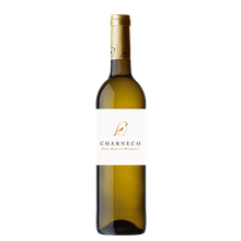 CHARNECO BRANCO 2024